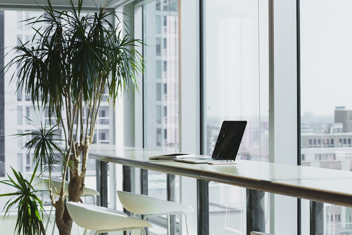 SaaS and B2B Platforms